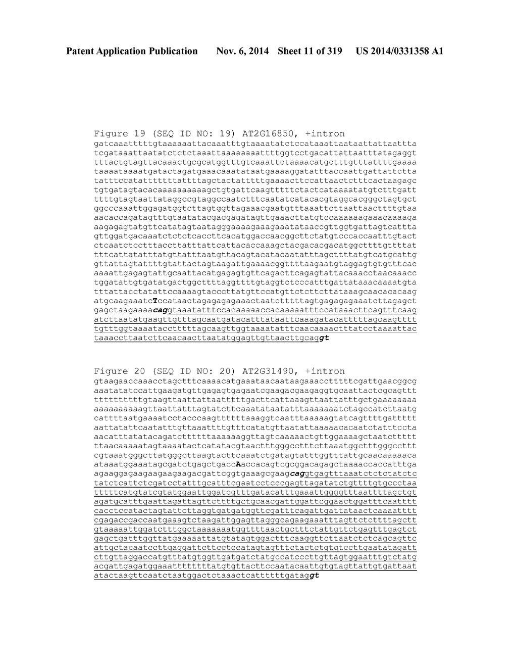 REGULATORY POLYNUCLEOTIDES AND USES THEREOF - diagram, schematic, and image 12
