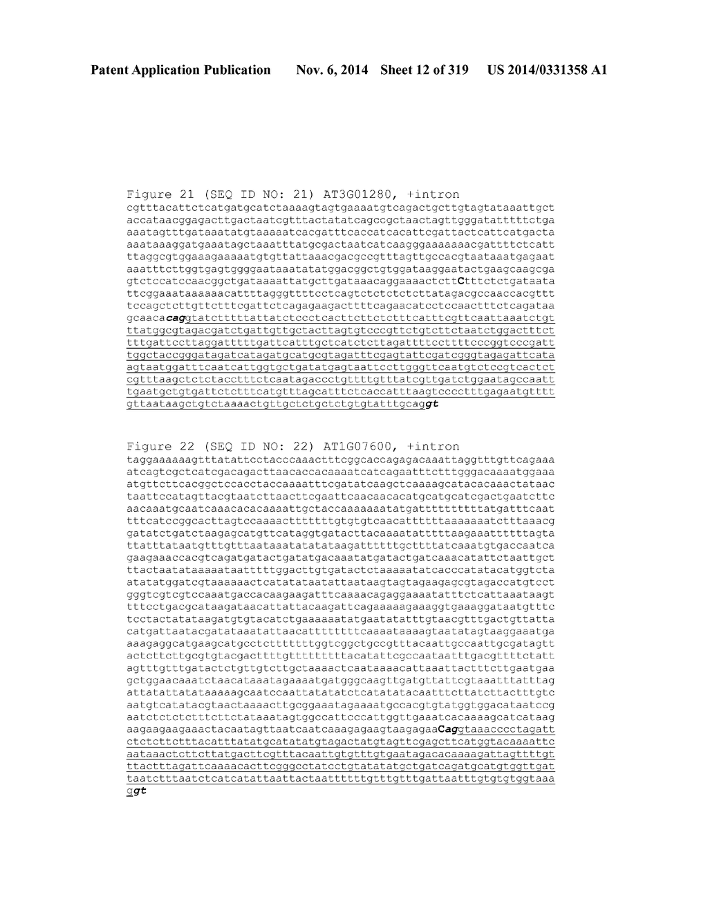 REGULATORY POLYNUCLEOTIDES AND USES THEREOF - diagram, schematic, and image 13