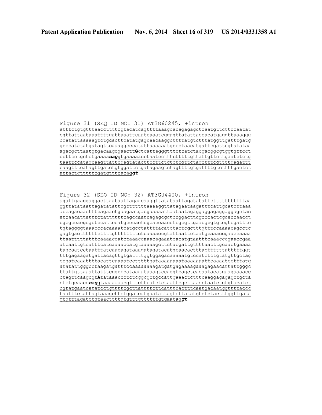 REGULATORY POLYNUCLEOTIDES AND USES THEREOF - diagram, schematic, and image 17