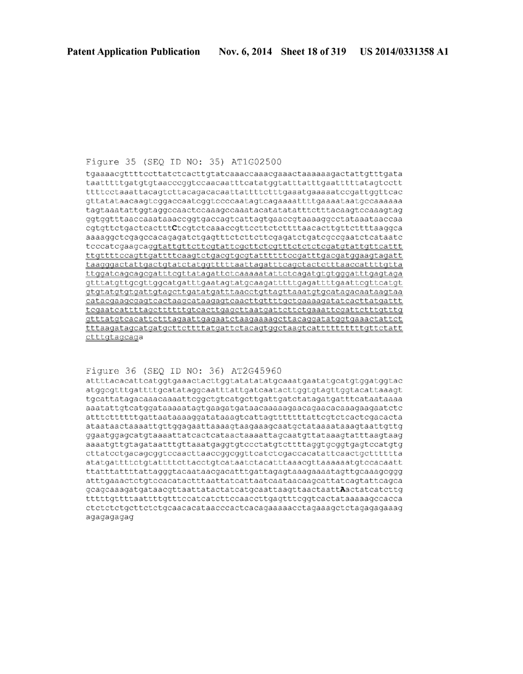 REGULATORY POLYNUCLEOTIDES AND USES THEREOF - diagram, schematic, and image 19