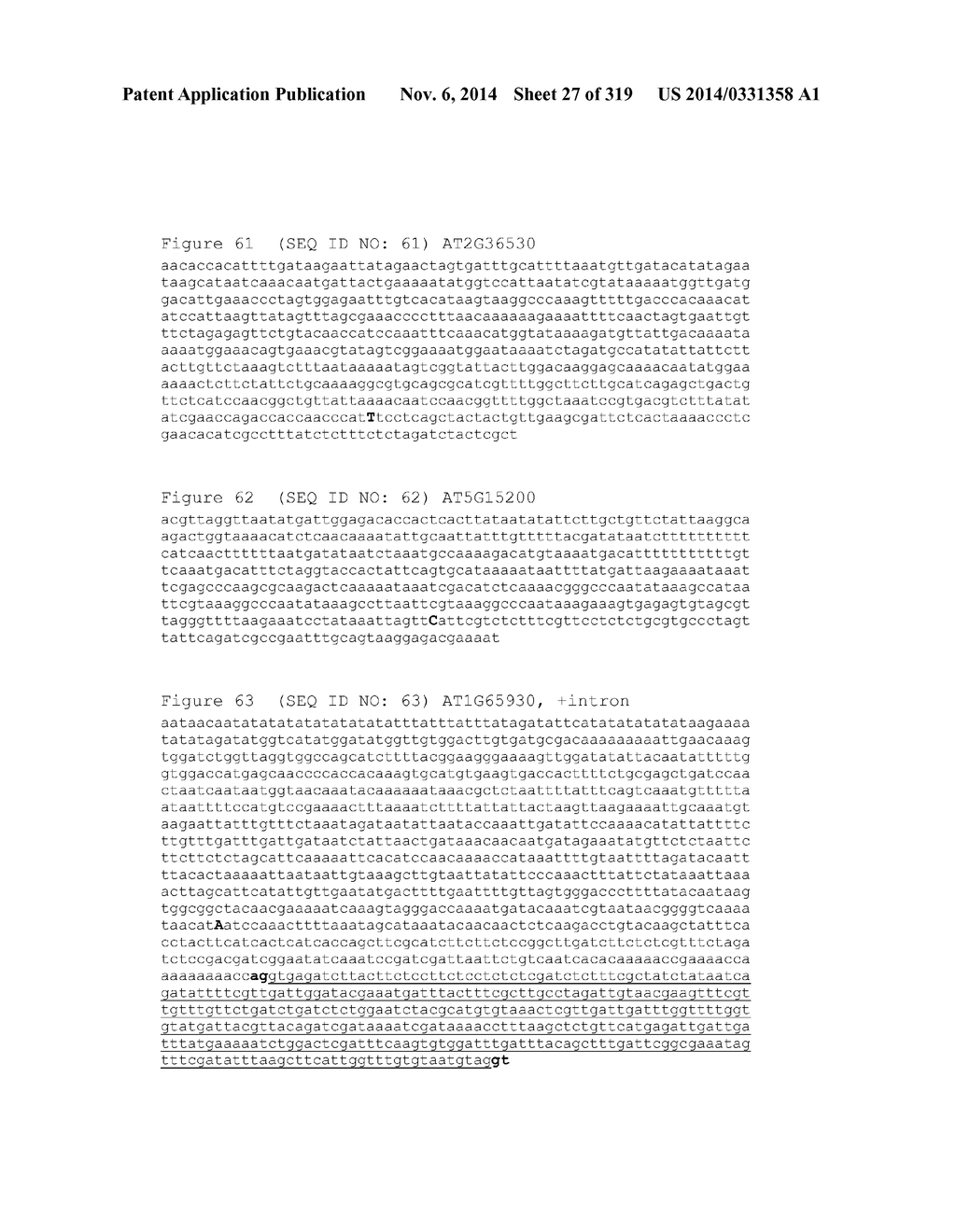 REGULATORY POLYNUCLEOTIDES AND USES THEREOF - diagram, schematic, and image 28