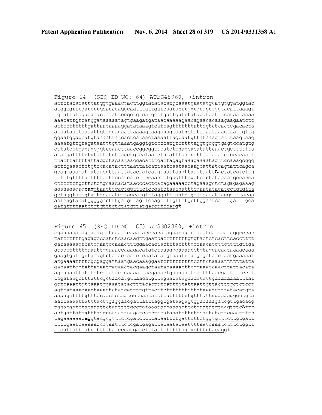 REGULATORY POLYNUCLEOTIDES AND USES THEREOF - diagram, schematic, and image 29