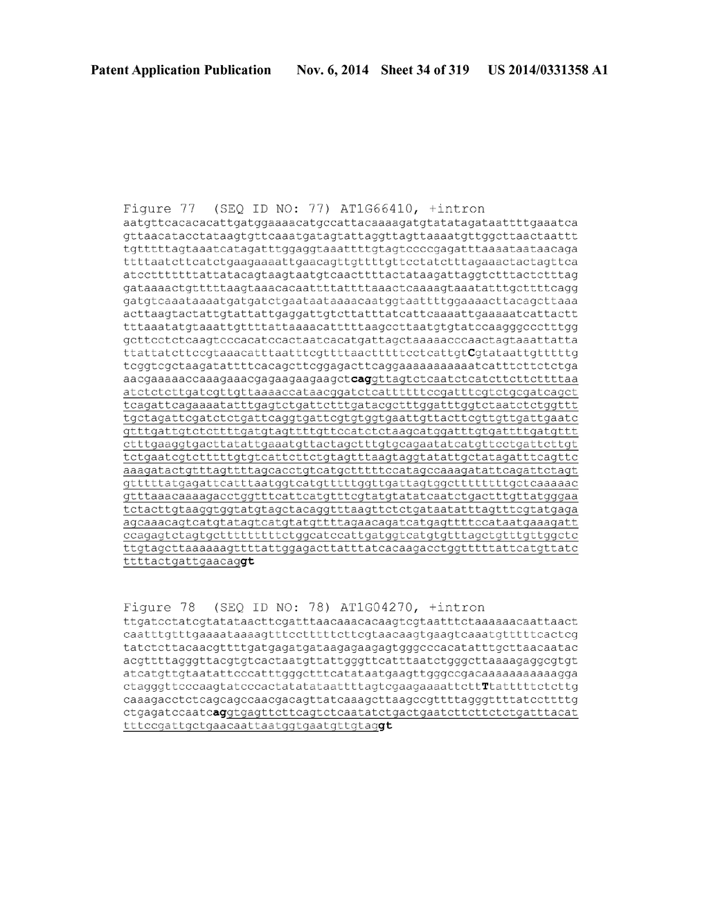 REGULATORY POLYNUCLEOTIDES AND USES THEREOF - diagram, schematic, and image 35