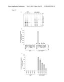 PLANTS WITH ALTERED GLUCURONOXYLAN METHYL TRANSFERASE ACTIVITY AND METHODS     OF USE diagram and image