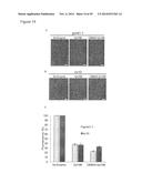 PLANTS WITH ALTERED GLUCURONOXYLAN METHYL TRANSFERASE ACTIVITY AND METHODS     OF USE diagram and image