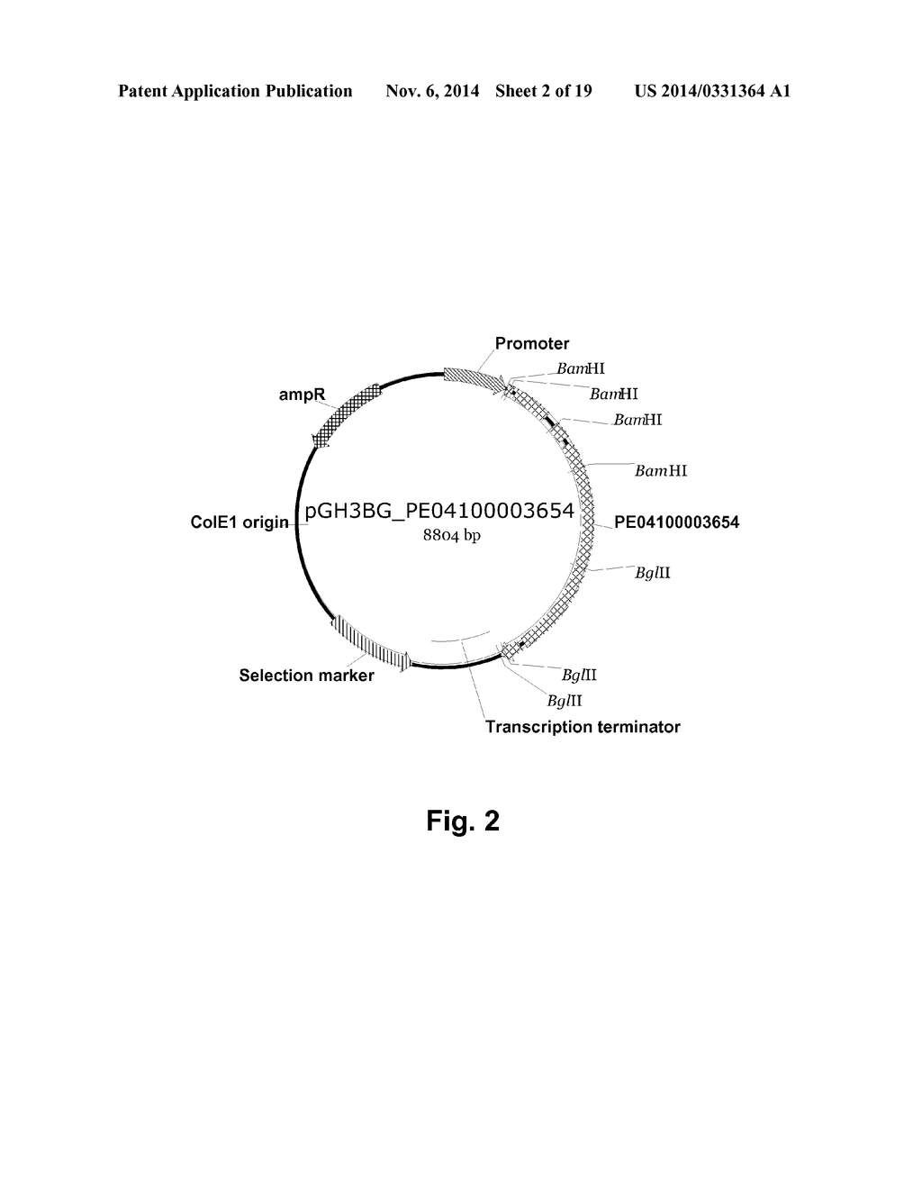 Polypeptides Having Beta-Glucosidase Activity and Polynucleotides Encoding     Same - diagram, schematic, and image 03