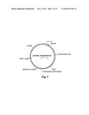 Polypeptides Having Beta-Glucosidase Activity and Polynucleotides Encoding     Same diagram and image