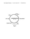 Polypeptides Having Beta-Glucosidase Activity and Polynucleotides Encoding     Same diagram and image