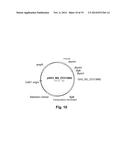 Polypeptides Having Beta-Glucosidase Activity and Polynucleotides Encoding     Same diagram and image