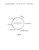 Polypeptides Having Beta-Glucosidase Activity and Polynucleotides Encoding     Same diagram and image