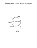 Polypeptides Having Beta-Glucosidase Activity and Polynucleotides Encoding     Same diagram and image