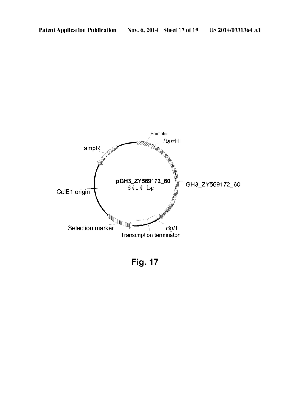 Polypeptides Having Beta-Glucosidase Activity and Polynucleotides Encoding     Same - diagram, schematic, and image 18