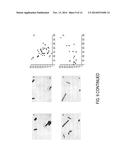 METHODS AND SYSTEMS FOR MINIMIZATION OF MECHANICAL EFFECTS OF IMPACT     VELOCITY DURING TISSUE PRESERVATION diagram and image