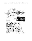 METHOD AND SYSTEM FOR PRE-PROGRAMMED SELF-POWER MICROFLUIDIC CIRCUITS diagram and image