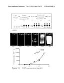 METHOD AND SYSTEM FOR PRE-PROGRAMMED SELF-POWER MICROFLUIDIC CIRCUITS diagram and image