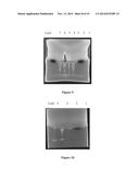 KIT FOR CO-PURIFICATION AND CONCENTRATION OF DNA AND PROTEINS USING     ISOTACHOPHORESIS diagram and image