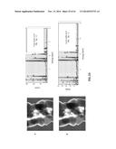 PURE METAL AND CERAMIC NANOFIBERS diagram and image