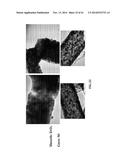 PURE METAL AND CERAMIC NANOFIBERS diagram and image