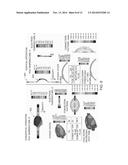 OPTIMIZED HID ARC TUBE GEOMETRY diagram and image