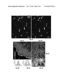 HIGH RESOLUTION DUAL-OBJECTIVE MICROSCOPY diagram and image