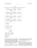 LIQUID CRYSTAL DISPLAY DEVICE diagram and image