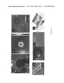 MICRO-LENS FOR HIGH RESOLUTION MICROSCOPY diagram and image