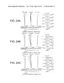 ZOOM LENS SYSTEM, OPTICAL APPARATUS AND METHOD FOR MANUFACTURING ZOOM LENS     SYSTEM diagram and image