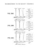 ZOOM LENS SYSTEM, OPTICAL APPARATUS AND METHOD FOR MANUFACTURING ZOOM LENS     SYSTEM diagram and image