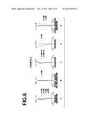 SUPER WIDE ANGLE LENS AND IMAGING APPARATUS diagram and image