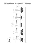 SUPER WIDE ANGLE LENS AND IMAGING APPARATUS diagram and image