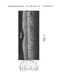 SEGMENTATION AND IDENTIFICATION OF LAYERED STRUCTURES IN IMAGES diagram and image