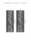 SEGMENTATION AND IDENTIFICATION OF LAYERED STRUCTURES IN IMAGES diagram and image