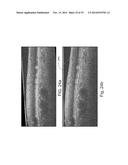 SEGMENTATION AND IDENTIFICATION OF LAYERED STRUCTURES IN IMAGES diagram and image