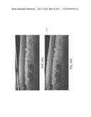 SEGMENTATION AND IDENTIFICATION OF LAYERED STRUCTURES IN IMAGES diagram and image