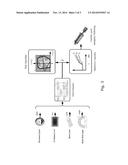 SHUTDOWN CONTROLLER FOR A WIND TURBINE AND A METHOD OF SHUTTING DOWN A     WIND TURBINE diagram and image