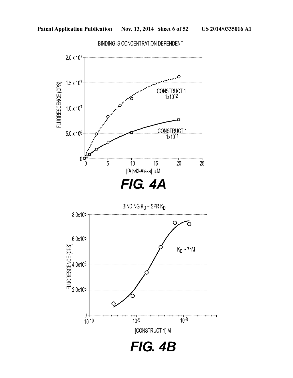 Bacteriophage Gene 3 Protein Compositions and Use as Amyloid Binding     Agents - diagram, schematic, and image 07