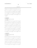 Bacteriophage Gene 3 Protein Compositions and Use as Amyloid Binding     Agents diagram and image