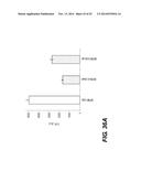 Bacteriophage Gene 3 Protein Compositions and Use as Amyloid Binding     Agents diagram and image