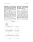 Bacteriophage Gene 3 Protein Compositions and Use as Amyloid Binding     Agents diagram and image