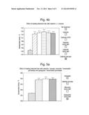 METHOD OF STRENGTHENING HAIR FIBRES diagram and image