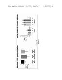 ASSAY FOR THE PREDICTION OF THERAPEUTIC EFFECTIVENESS OF MESENCHYMAL     STROMAL CELLS, AND METHODS OF USING SAME diagram and image