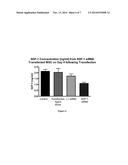 ASSAY FOR THE PREDICTION OF THERAPEUTIC EFFECTIVENESS OF MESENCHYMAL     STROMAL CELLS, AND METHODS OF USING SAME diagram and image