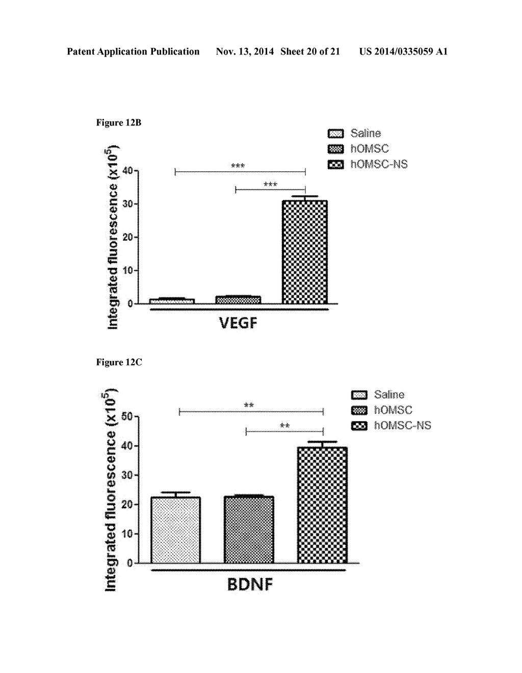 STEM CELL-DERIVED NEURAL CELLS FOR CELL THERAPY IN NEUROLOGICAL DISORDERS - diagram, schematic, and image 21