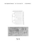 LACTOBACILLUS PLANTARUM INDUCIA DSM 21379 AS ENHANCER OF CELLULAR     IMMUNITY, HYPOCHOLESTEROLEMIC AND ANTI-OXIDATIVE AGENT AND ANTIMICROBIAL     AGENT AGAINST CLOSTRIDIUM DIFFICILE diagram and image