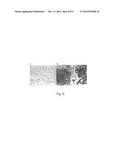 LACTOBACILLUS PLANTARUM INDUCIA DSM 21379 AS ENHANCER OF CELLULAR     IMMUNITY, HYPOCHOLESTEROLEMIC AND ANTI-OXIDATIVE AGENT AND ANTIMICROBIAL     AGENT AGAINST CLOSTRIDIUM DIFFICILE diagram and image