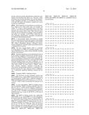 COMBINATION THERAPY COMPRISING AN MMP-14 BINDING PROTEIN diagram and image