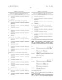 COMBINATION THERAPY COMPRISING AN MMP-14 BINDING PROTEIN diagram and image