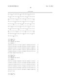 COMBINATION THERAPY COMPRISING AN MMP-14 BINDING PROTEIN diagram and image