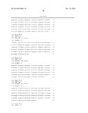 COMBINATION THERAPY COMPRISING AN MMP-14 BINDING PROTEIN diagram and image