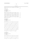 COMBINATION THERAPY COMPRISING AN MMP-14 BINDING PROTEIN diagram and image